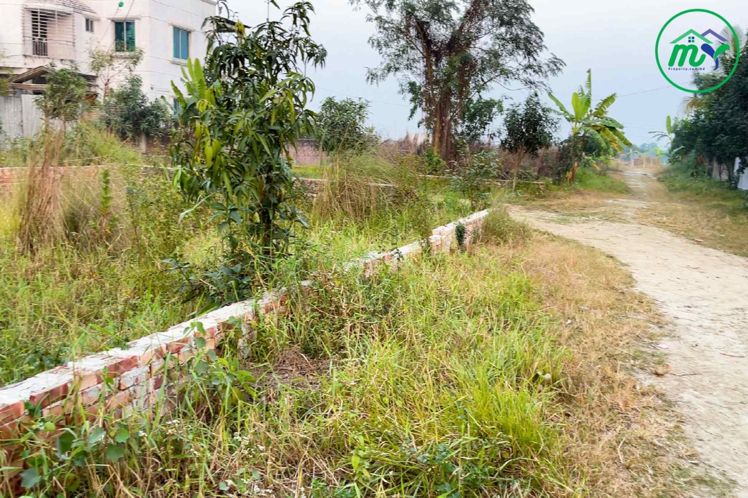 লেকসিটিতে ৩০ এবং ২০ ফিট রোডের পাশে কর্নার রেডি প্লট -  Ready plot to 30 & 20 feet road in Keraniganj, Dhaka.