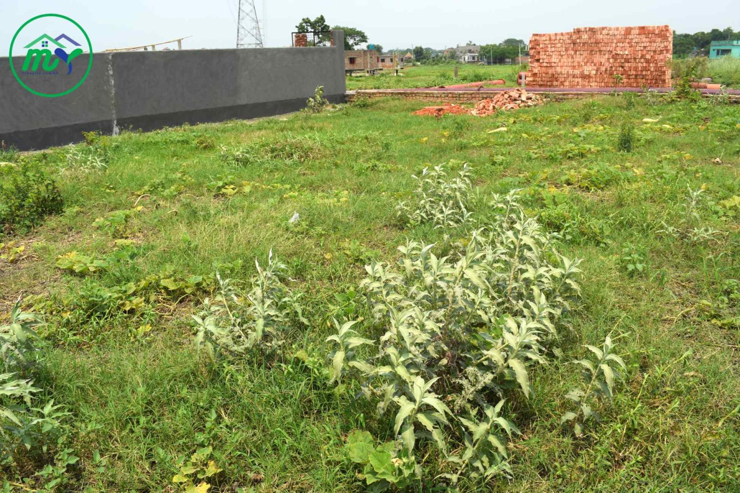 ২৫ ফিট রাস্তার পাশে ৯ শতাংশের রেডি প্লট আটি কেরানীগঞ্জ এ - 9 decimal ready plot at 25 feet road at Ati-Hijla Keraniganj