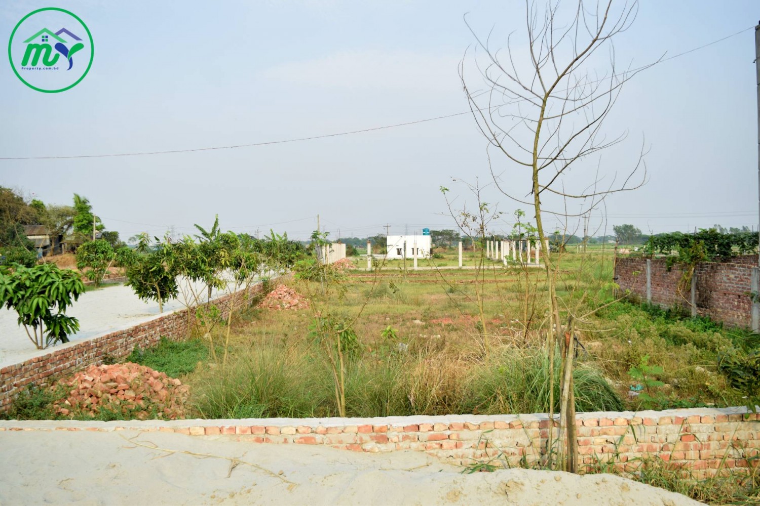 মোহাম্মদপুর থেকে ৭ কিঃ মিঃ দূরে ৫ কাঠার রেডি প্লট এখনি বাড়ি করার উপযোগী।