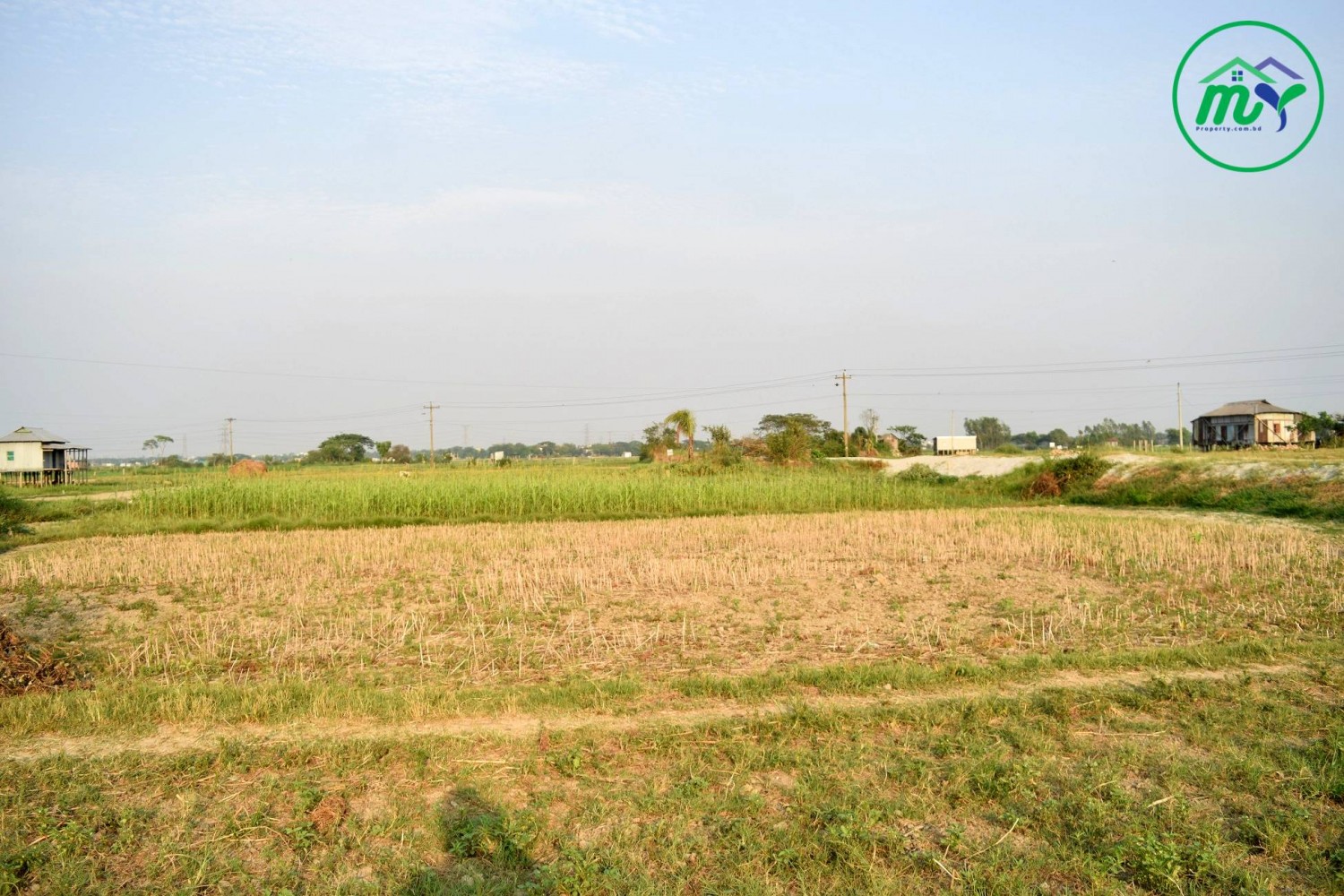 কেরানীগঞ্জ এ মেইন রোডের পাশে রেডি প্লট মাত্র ৭ লক্ষ টাকা কাঠা থেকে শুরু।