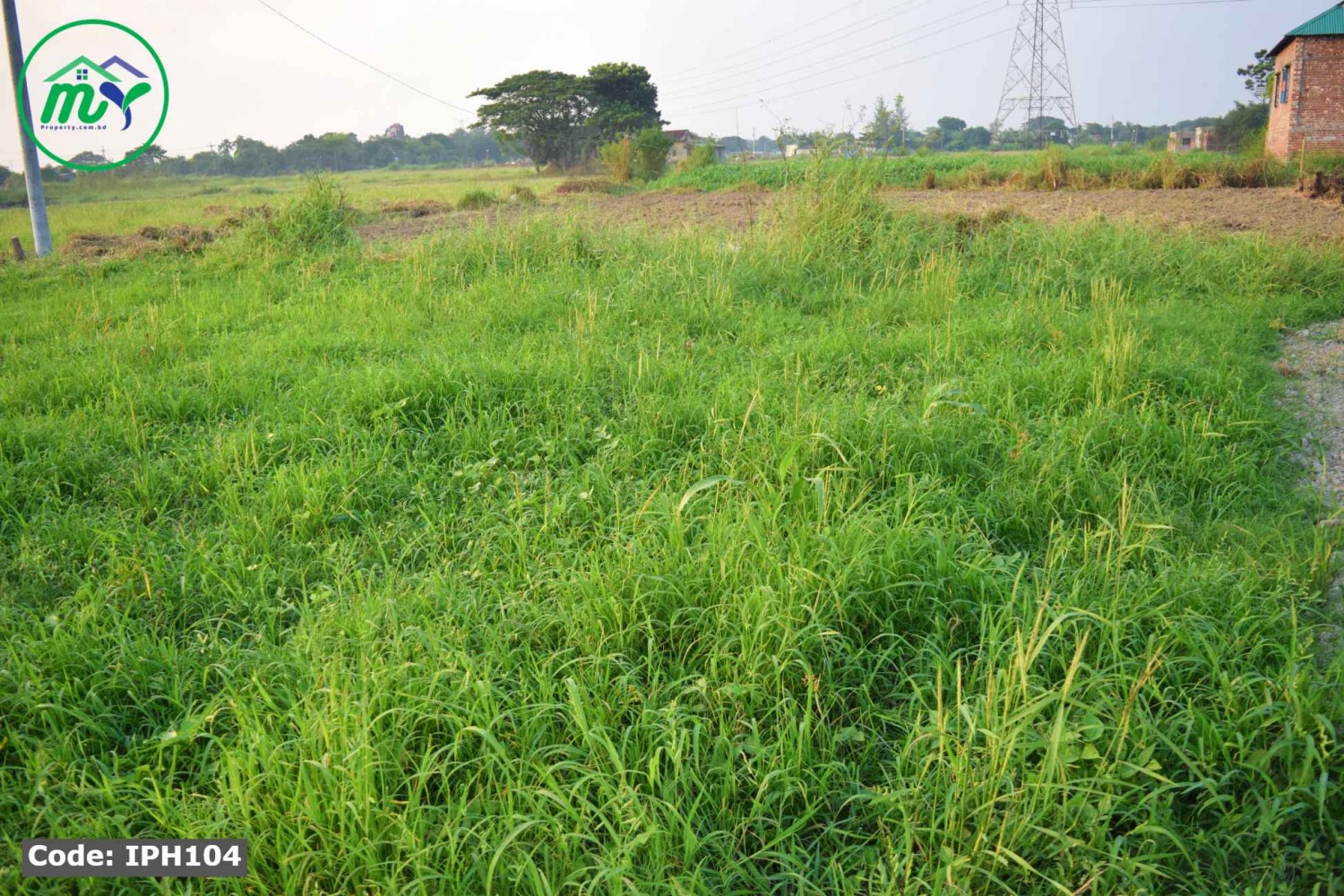 স্বল্প মূল্যে ৫ শতাংশের প্লট কেরানীগঞ্জ এ মেইন রোড এর পাশে। 5 decimal plot at the lowest price near main road in Keraniganj