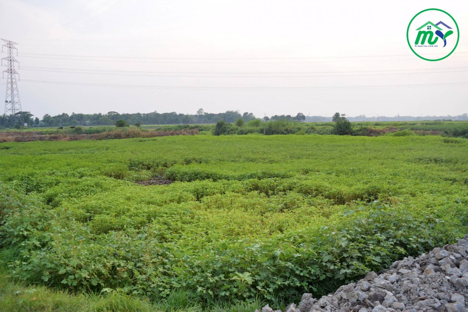 ঢাকার প্রাণবিন্দু কেরানীগঞ্জে কম মূল্যে এ এককালিন ও সহজ কিস্তিতে রেডি প্লট কিনুন - Ready Plot sale in Dhaka, Keraniganj.