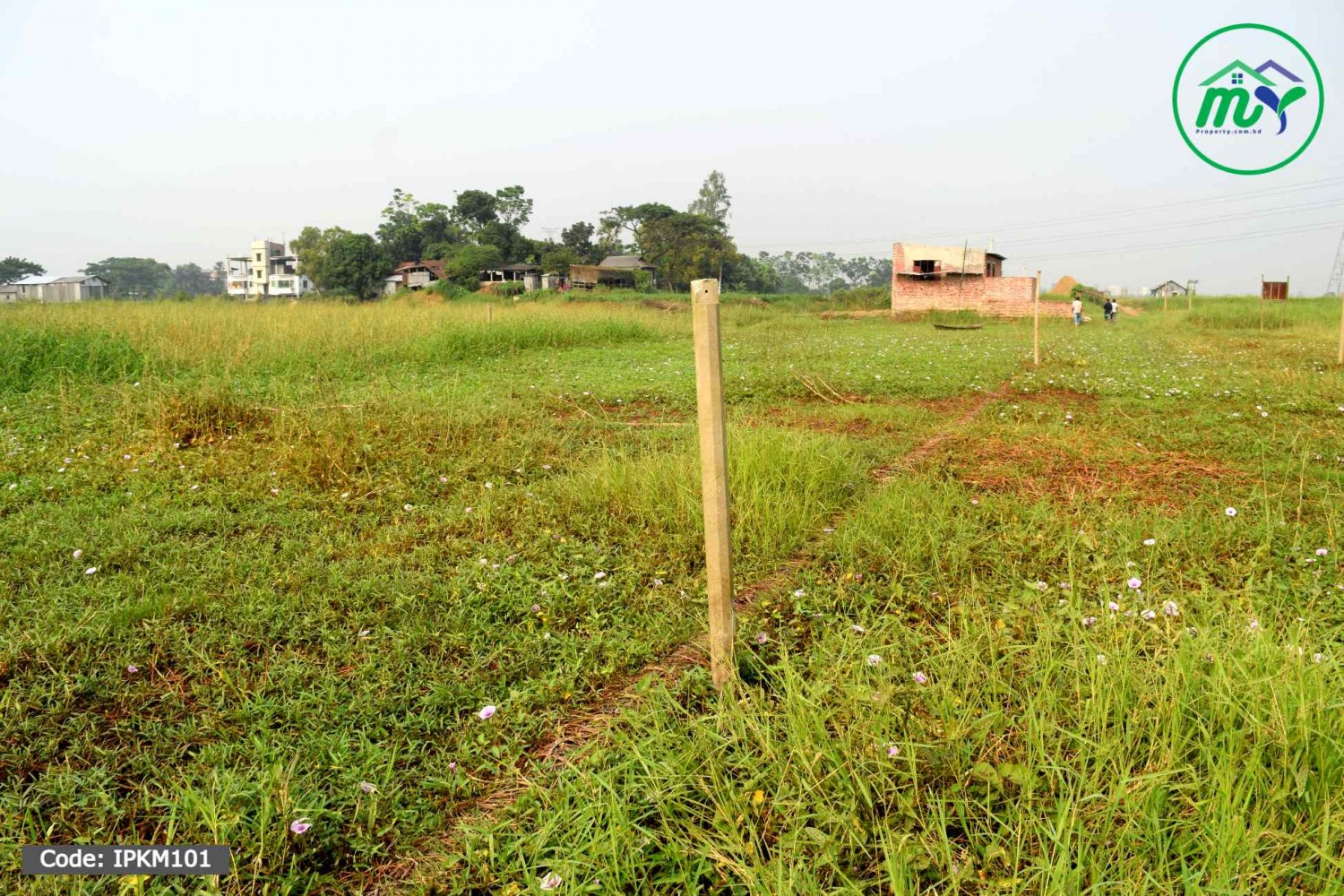 আটি বাজারের কাশিমালতায় স্বল্প মূল্যে ৪/৫/৬ শতাংশের প্লট । 4/5/6 decimal plot at low-prices Ati Bazar