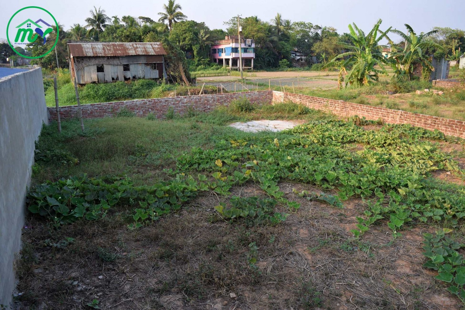 Net 3 Katha Ready Plot Near Ati Bazar, Keraniganj, Dhaka.