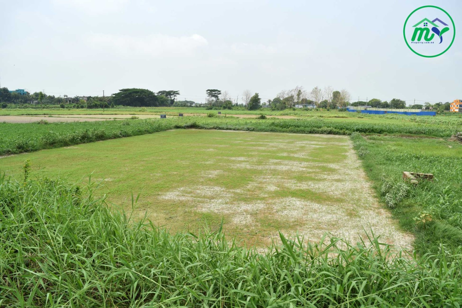 কেরানীগঞ্জ এ ৬ লক্ষ টাকা শতাংশ একদম রেডি প্লট - Ready Plot at Keraniganj 6 lakhs Taka Per Decimal