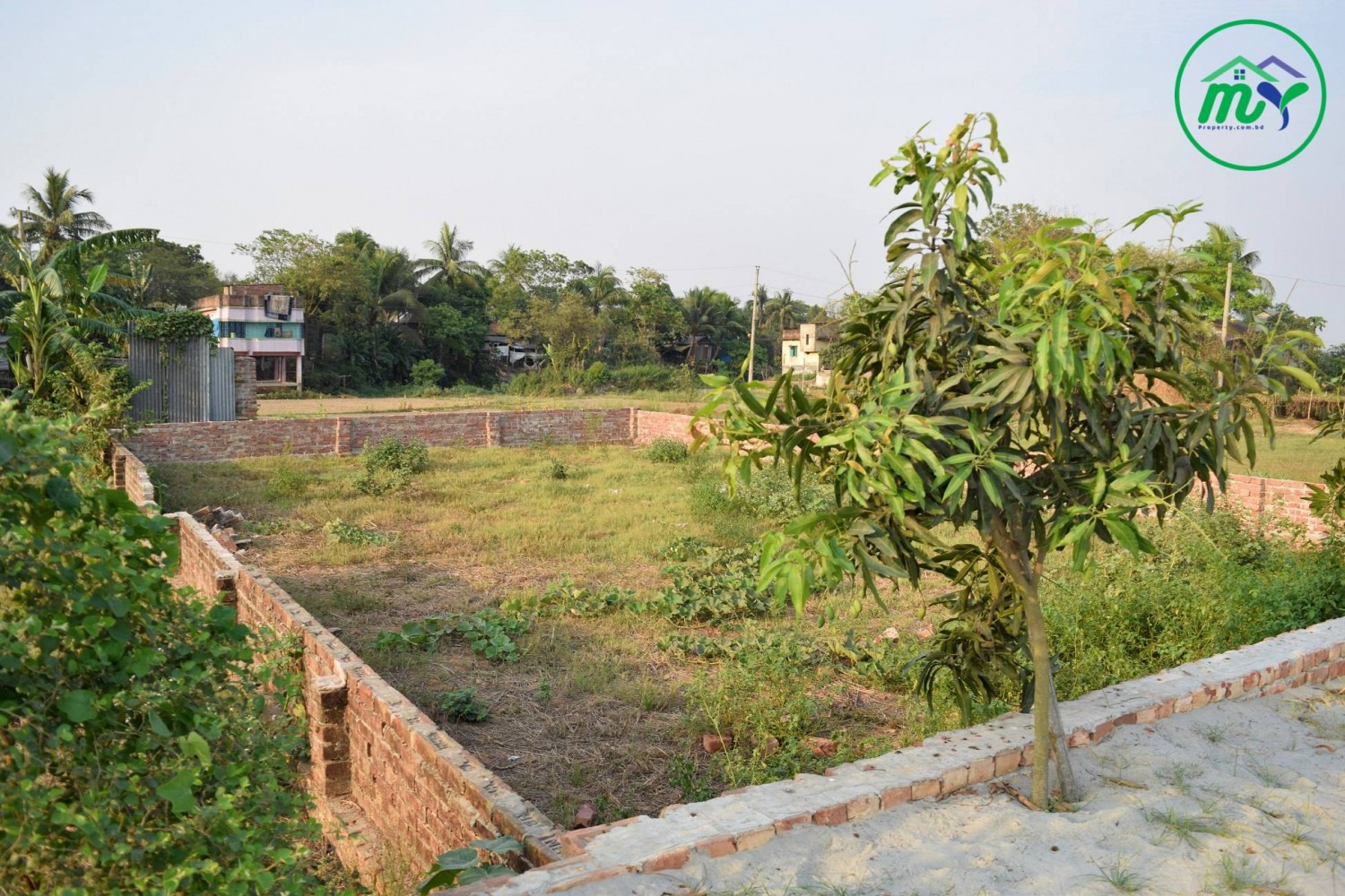 প্রতি কাঠা মাত্র ৭ লক্ষ টাকা, বাড়ি তৈরী উপযোগী রেডি প্লট বিক্রি হচ্ছে ঢাকার কেরানীগঞ্জ এ।