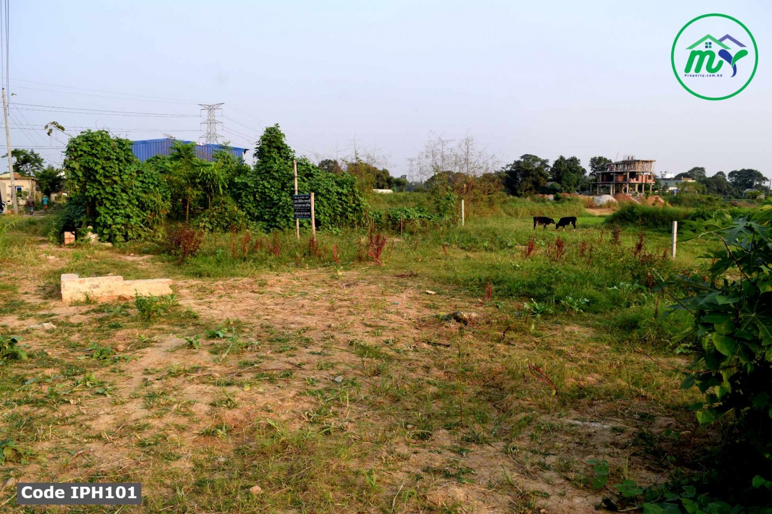 আটি বাজার হিজলা গ্রামে ৫ শতাংশের প্লট । 5 decimal ready plot in Ati Bazar Hizla village